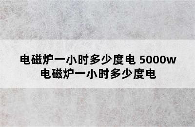 电磁炉一小时多少度电 5000w电磁炉一小时多少度电